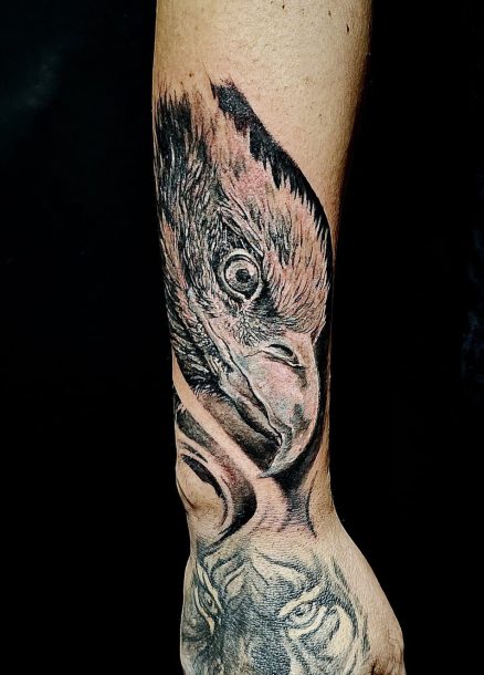 Aggiungere questa alla home tra le foto in evidenza